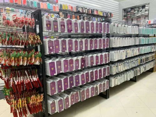 米蘭百貨店老板最愛(ài)逛的電子產(chǎn)品批發(fā)中心太壕了 進(jìn)貨就送蘋果手機(jī)蘋果電腦